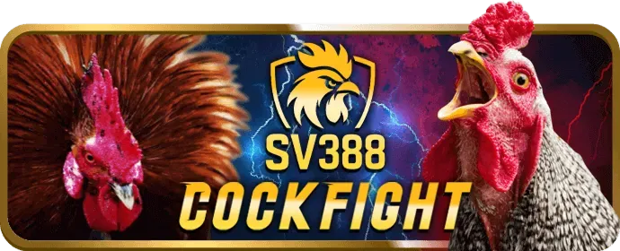Chơi công bằng 97win app